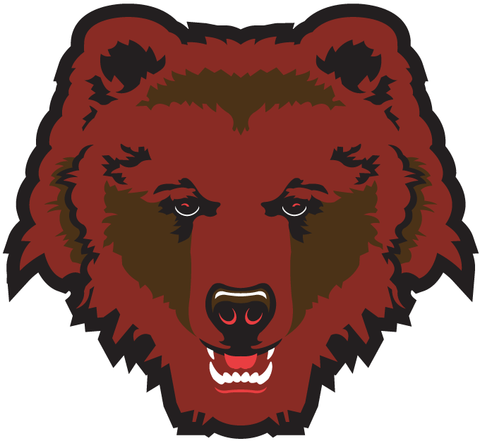 Brown Bears 1997-Pres Partial Logo t shirts DIY iron ons